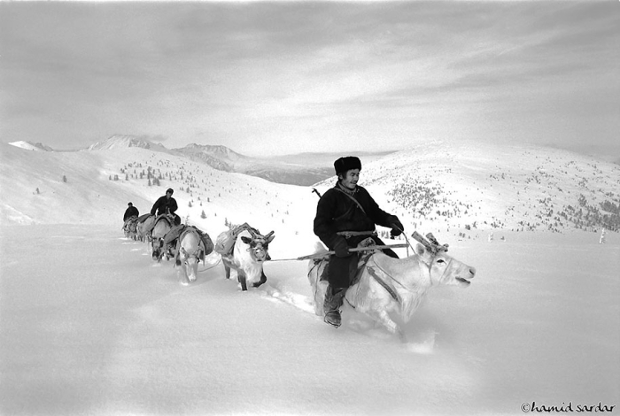 mongolia-tribe-reindeer-people-hamid-sardar-afkhami-7