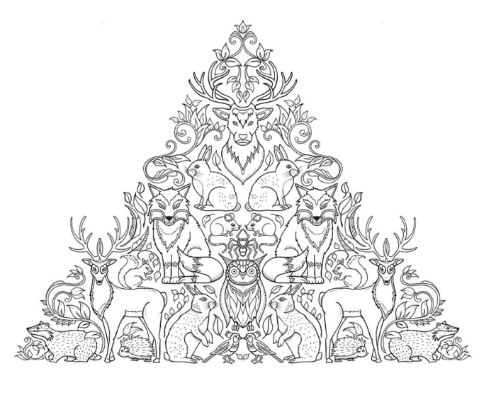 coloring-books-adults-johanna-basford-6