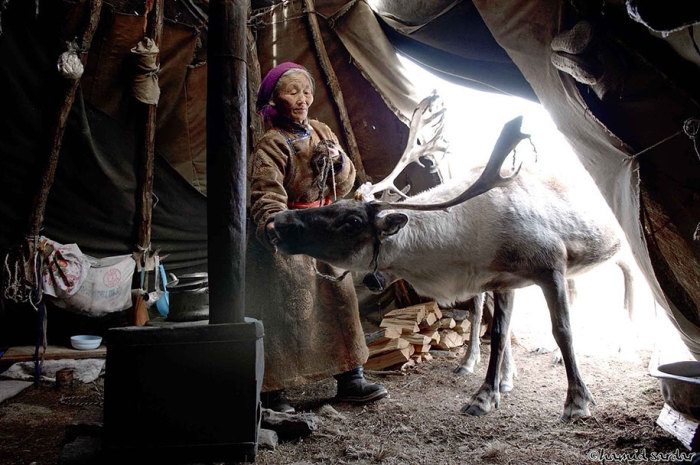mongolia-tribe-reindeer-people-hamid-sardar-afkhami-9