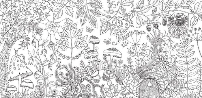 coloring-books-adults-johanna-basford-8