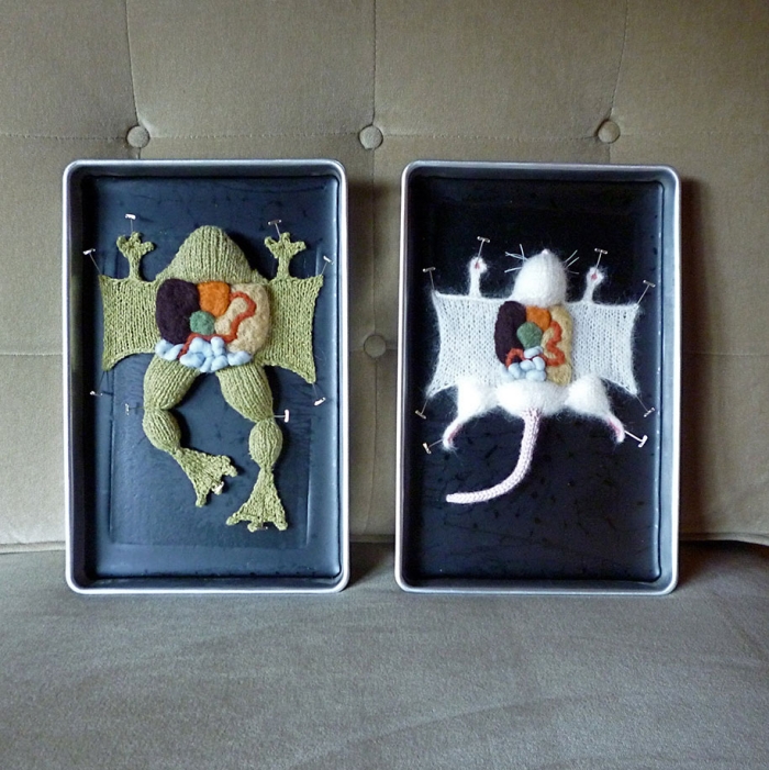 knit-animal-dissection-aknitomy-emily-stoneking-16