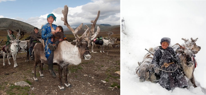 mongolia-tribe-reindeer-people-hamid-sardar-afkhami-4