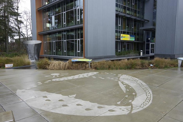 hydrophobic-sidewalk-graffiti-rainworks-peregrine-church-seattle-4
