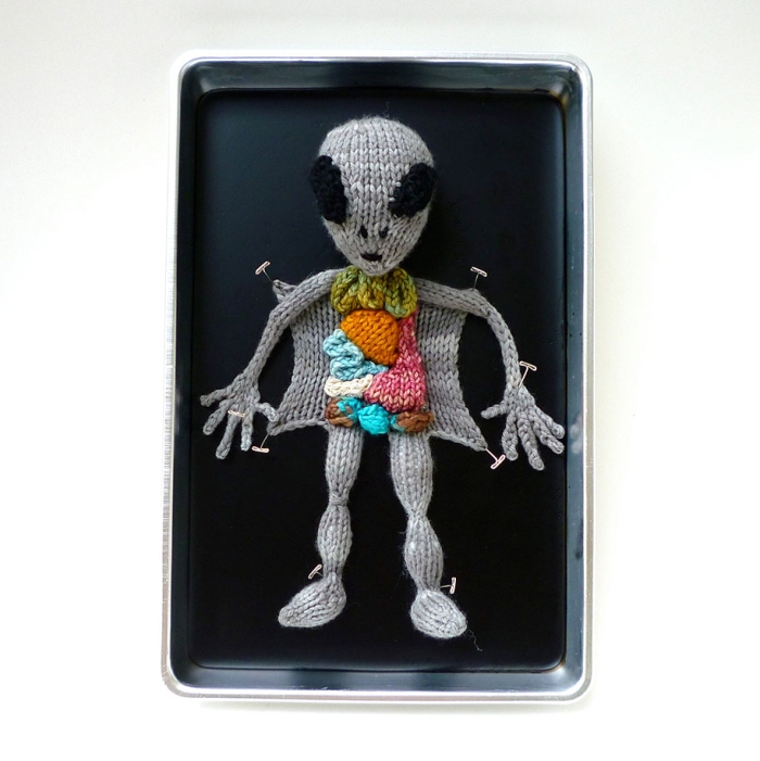 knit-animal-dissection-aknitomy-emily-stoneking-03