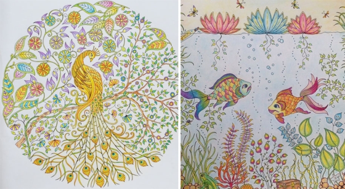 coloring-books-adults-johanna-basford-18