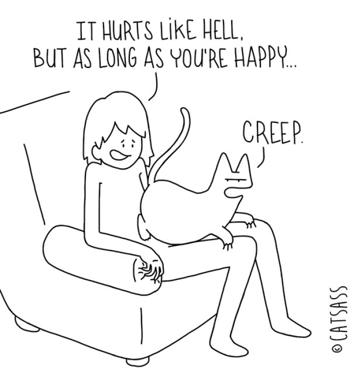 mean-cat-comic-strip-catsass-claude-combacau-06