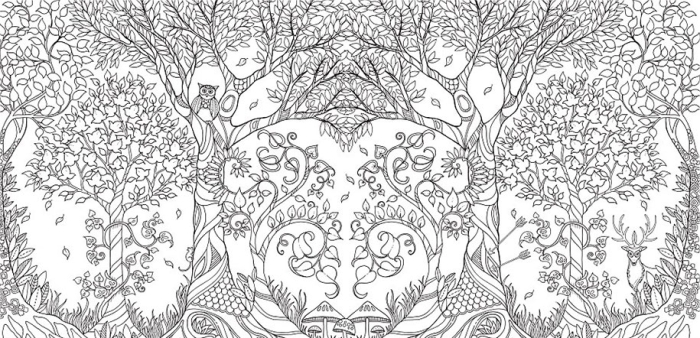 coloring-books-adults-johanna-basford-13