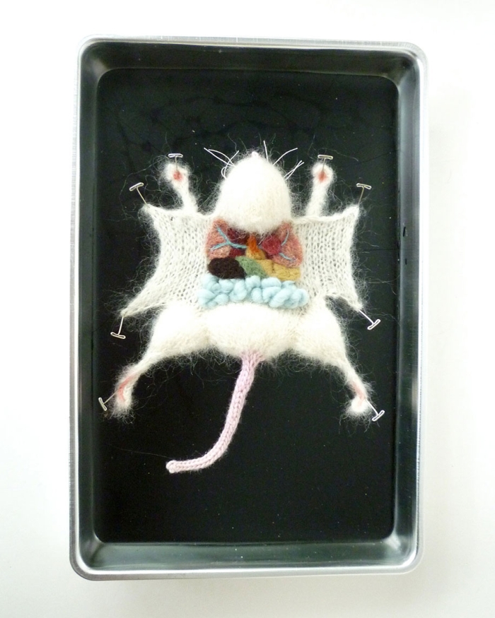 knit-animal-dissection-aknitomy-emily-stoneking-10