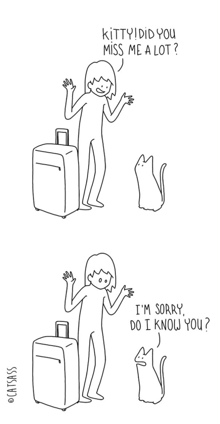 mean-cat-comic-strip-catsass-claude-combacau-14