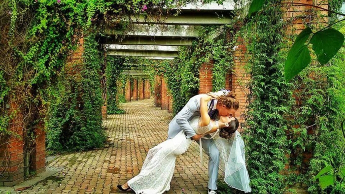 couple-wedding-around-the-world-travel-cheetah-rhian-15