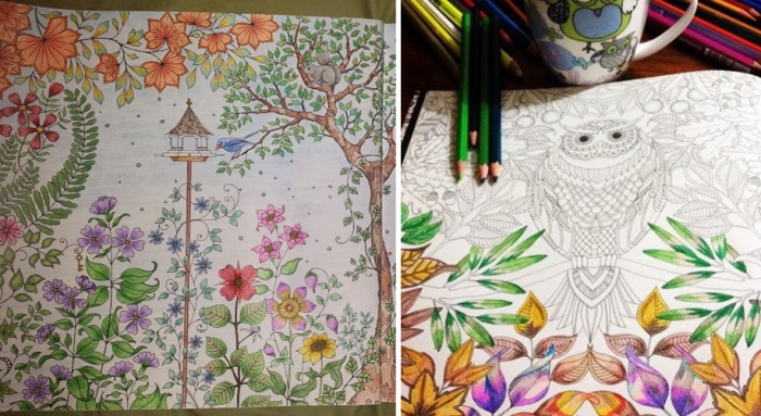 coloring-books-adults-johanna-basford-14