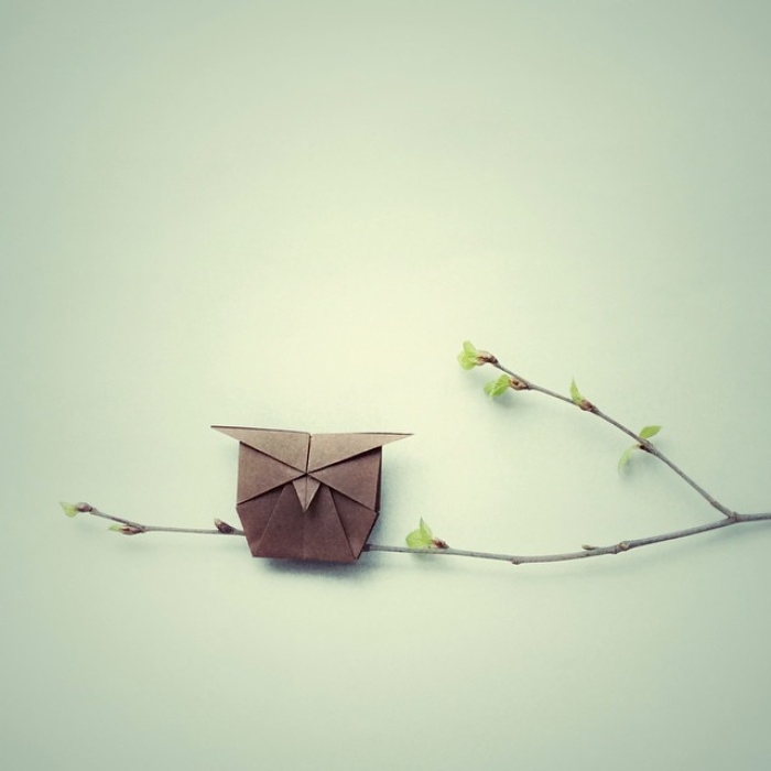 creative-origami-animal-scenes-wenlise-fold-wenche-lise-fossland-53