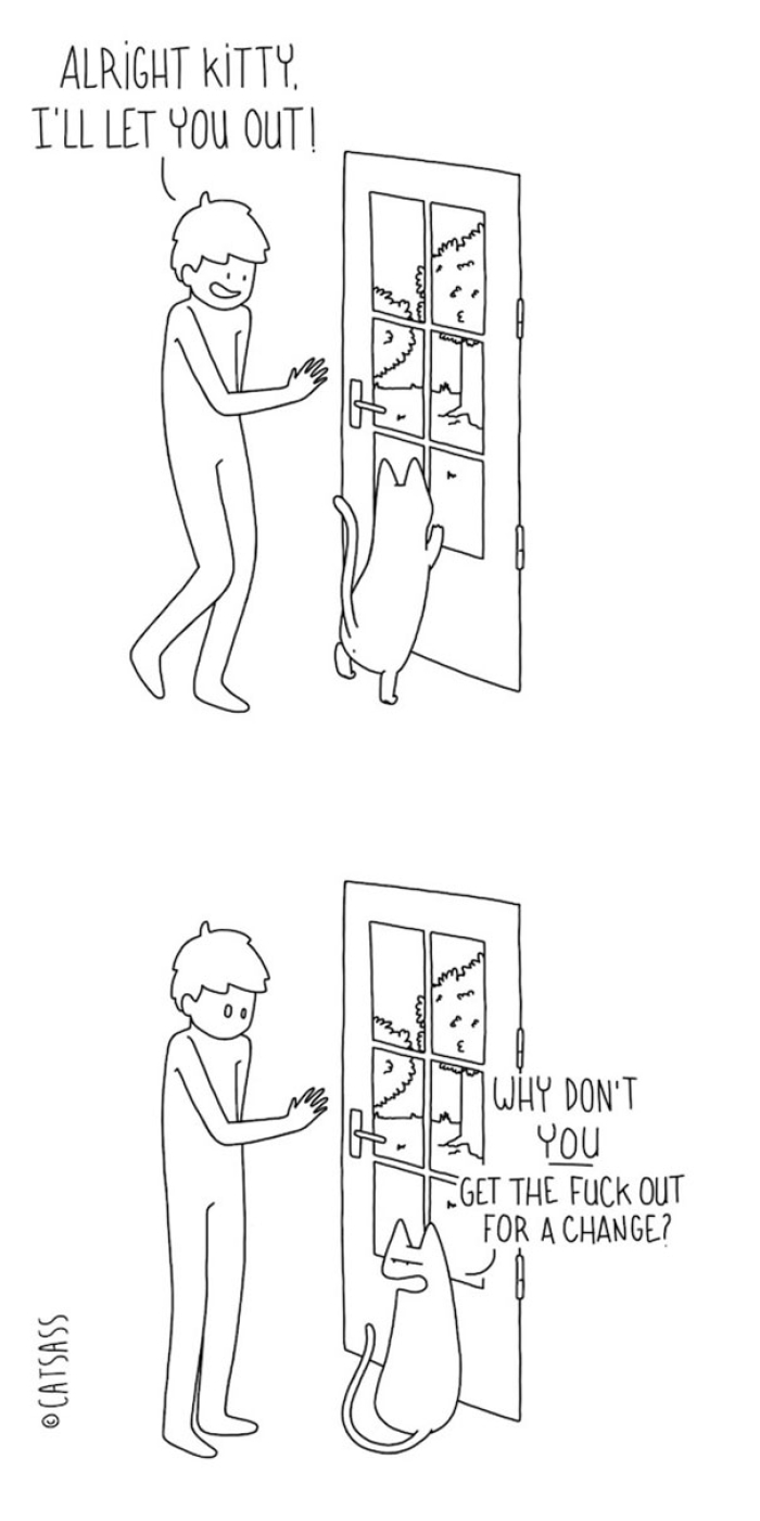 mean-cat-comic-strip-catsass-claude-combacau-02
