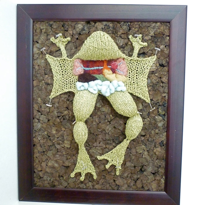knit-animal-dissection-aknitomy-emily-stoneking-07
