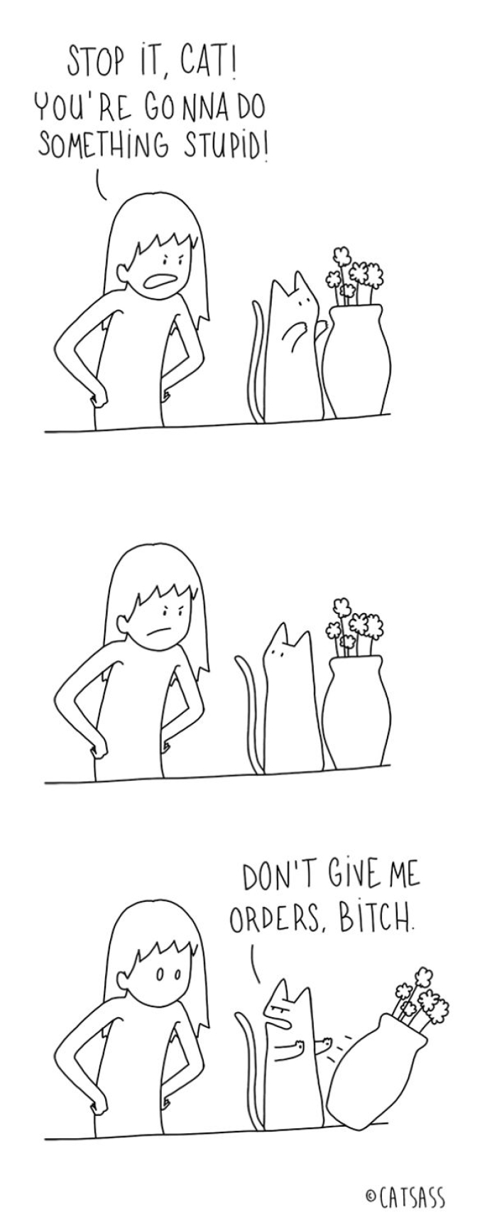 mean-cat-comic-strip-catsass-claude-combacau-07