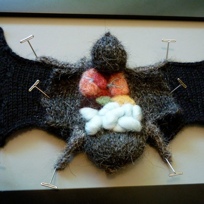 knit-animal-dissection-aknitomy-emily-stoneking-12
