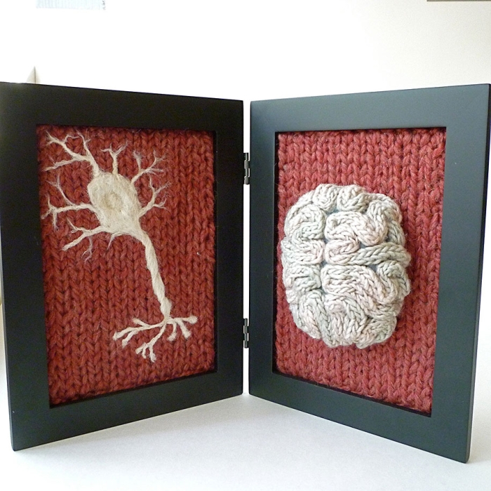 knit-animal-dissection-aknitomy-emily-stoneking-15