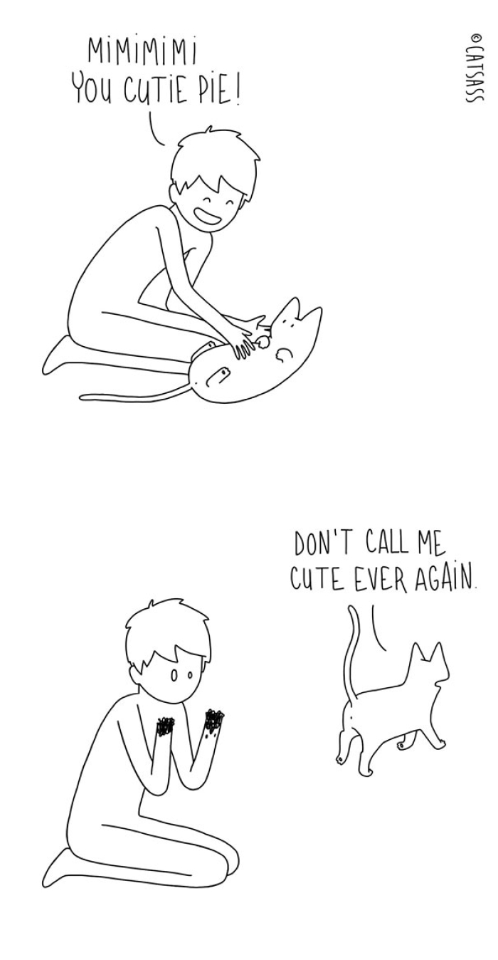 mean-cat-comic-strip-catsass-claude-combacau-13