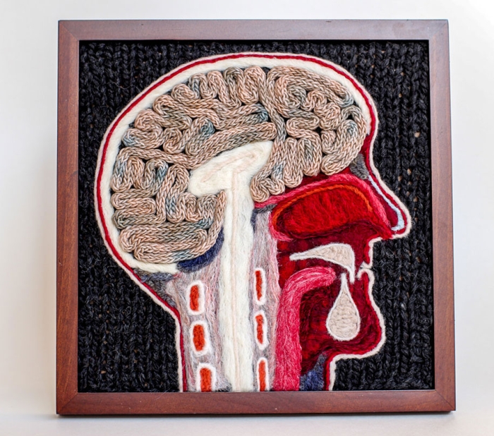 knit-animal-dissection-aknitomy-emily-stoneking-14