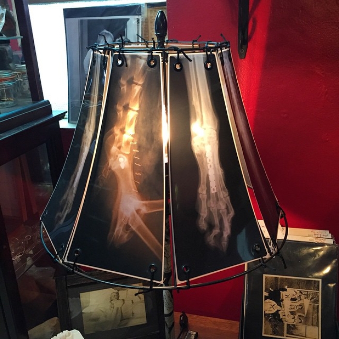 xray-lamp-bearded-lady-vintage-oddities-burbanks