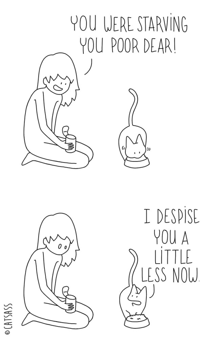 mean-cat-comic-strip-catsass-claude-combacau-03