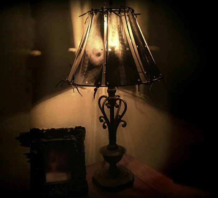 animal-scan-reuse-xray-lampshade-spike-vain-xrayvisiondesigns-6