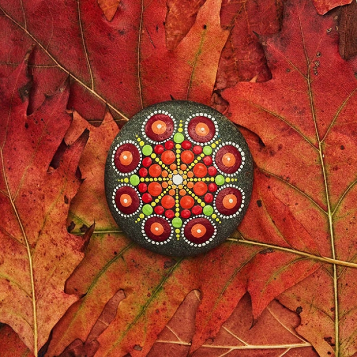 rock-art-mandala-stones-elspeth-mclean-canada-81