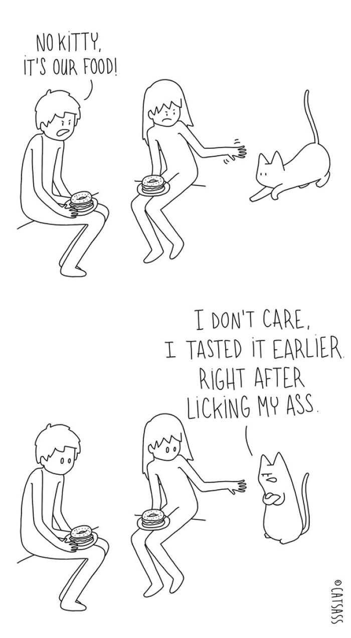 mean-cat-comic-strip-catsass-claude-combacau-09