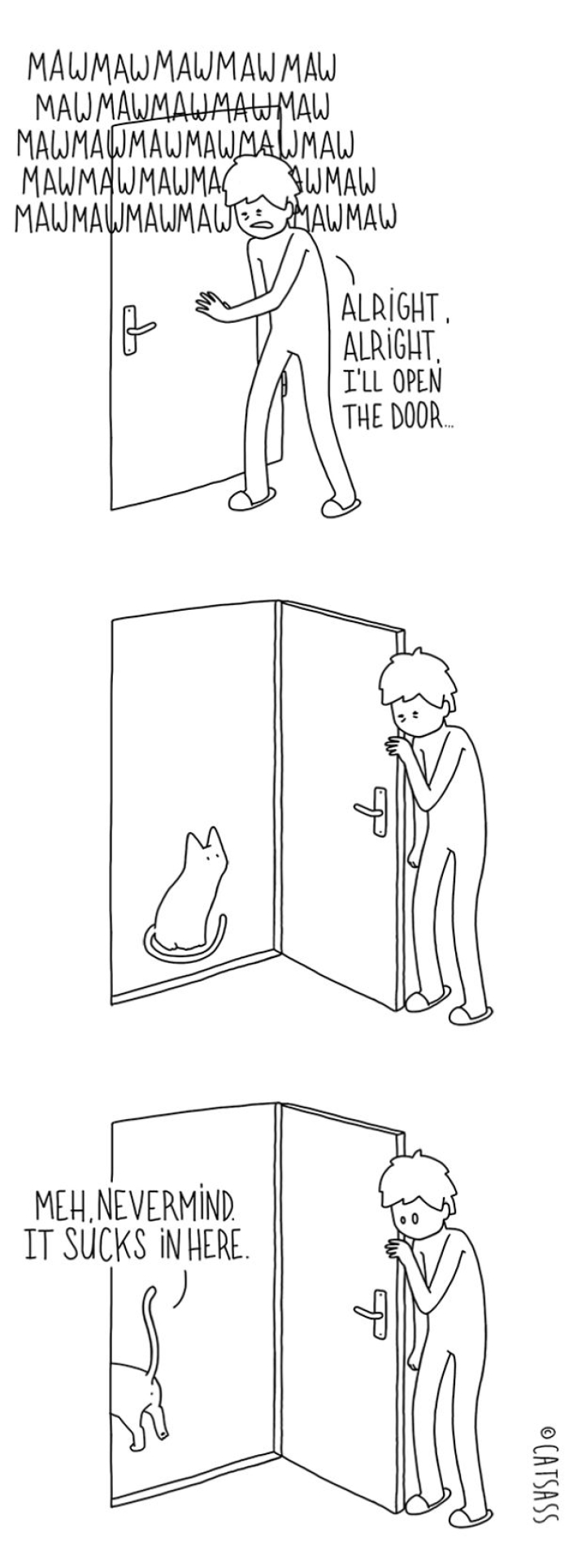 mean-cat-comic-strip-catsass-claude-combacau-12