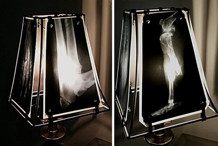 animal-scan-reuse-xray-lampshade-spike-vain-xrayvisiondesigns-4