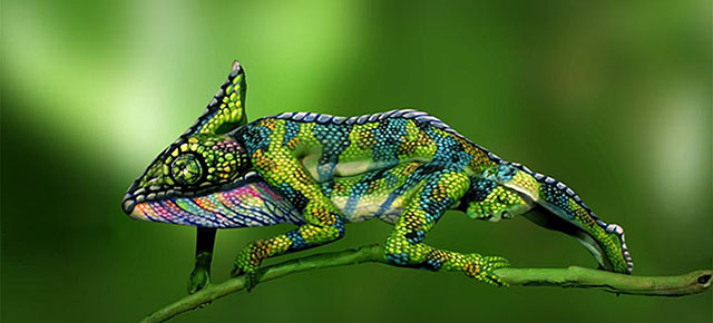 This Chameleon Is Actually Two Body-Painted Women