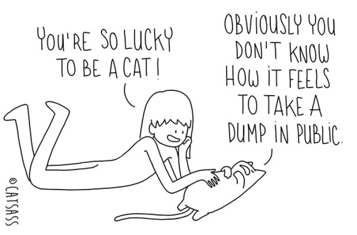 mean-cat-comic-strip-catsass-claude-combacau-11
