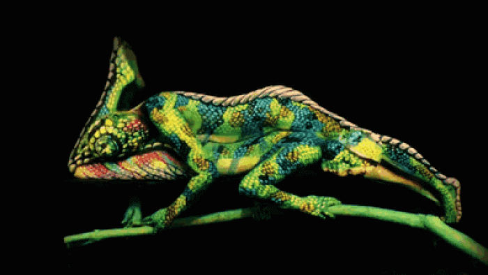 nature-animal-bodypainting-chameleon-johannes-stoetter-2
