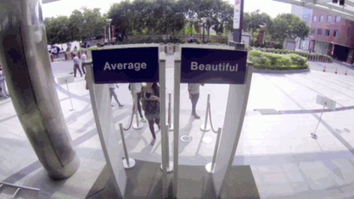 door-experiment-choose-beautiful-dove-3