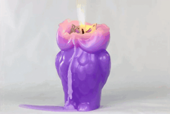 skeleton-candles-angry-owl-robert-scott-GIEF