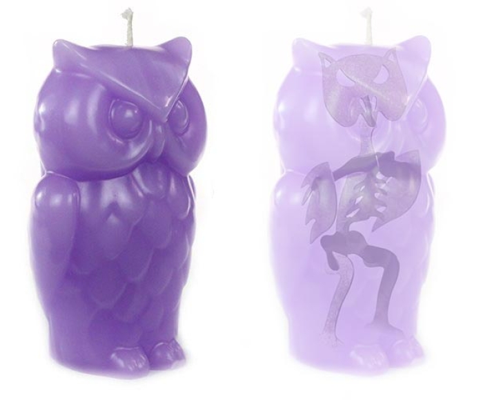 skeleton-candles-angry-owl-robert-scott-15