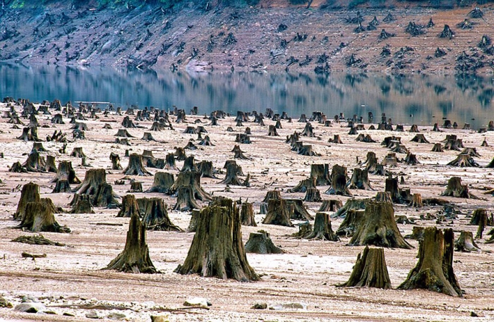 pollution-trash-destruction-overdevelopement-overpopulation-overshoot-11