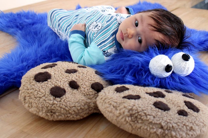 sesame-street-DIY-cookie-monster-rug-pillows-mikeasaurus-11