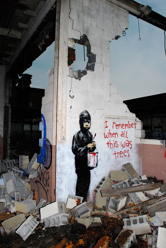 environmental-graffiti-street-art-24