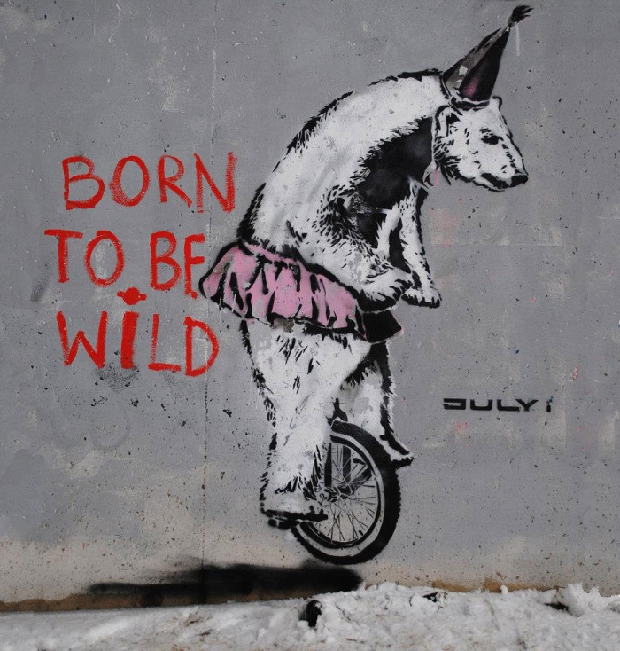 environmental-graffiti-street-art-01