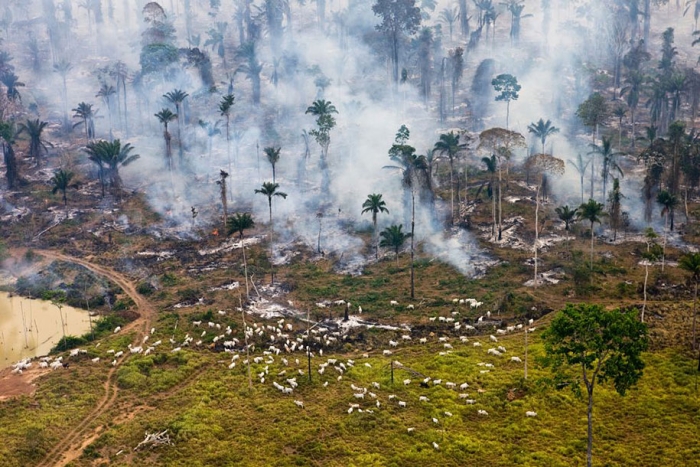 pollution-trash-destruction-overdevelopement-overpopulation-overshoot-10