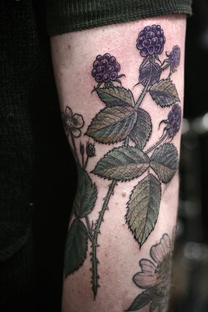 flower-plant-botanical-tattoos-alice-carrier-53