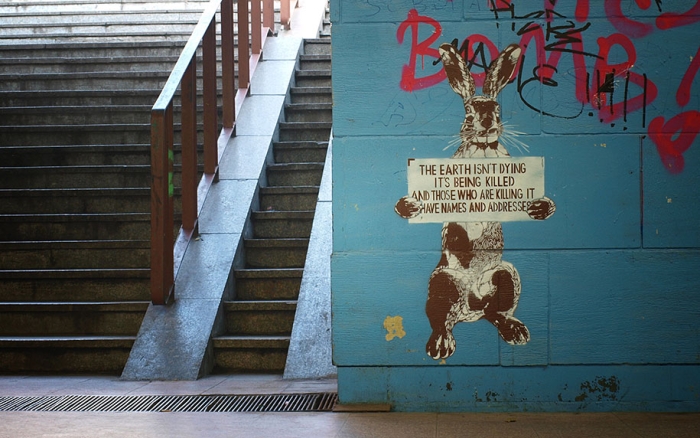 environmental-graffiti-street-art-29