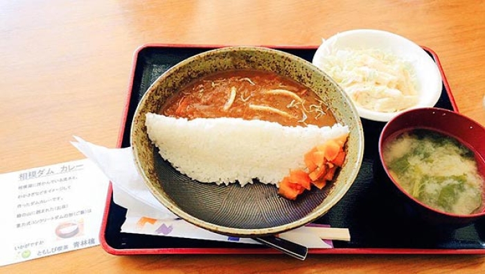dam-curry-rice-damukare-japan-04