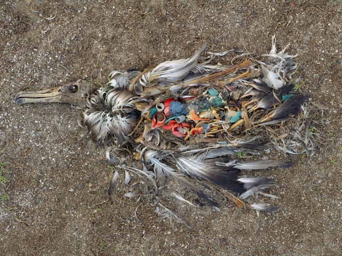 pollution-trash-destruction-overdevelopement-overpopulation-overshoot-17