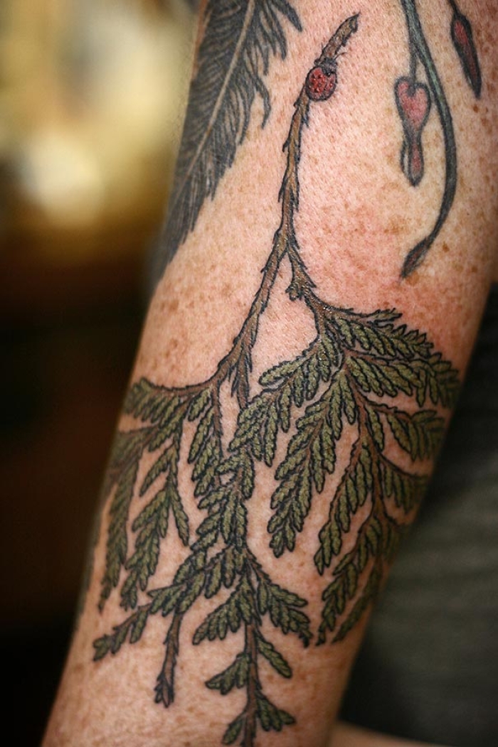 flower-plant-botanical-tattoos-alice-carrier-44