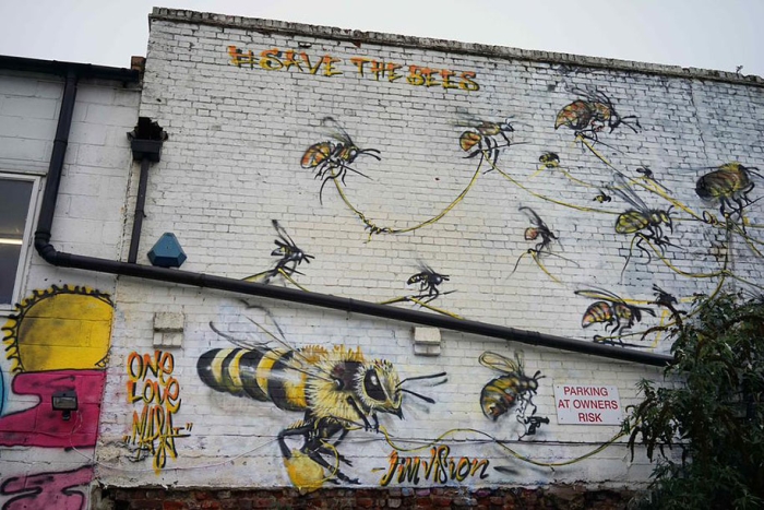 ecology-street-art-save-bees-louis-masai-london-07