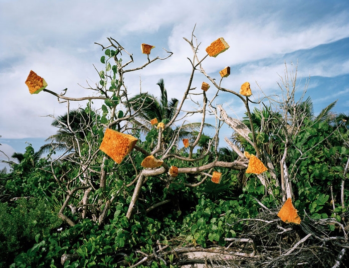 trash-installations-washed-up-alejandro-duran-11