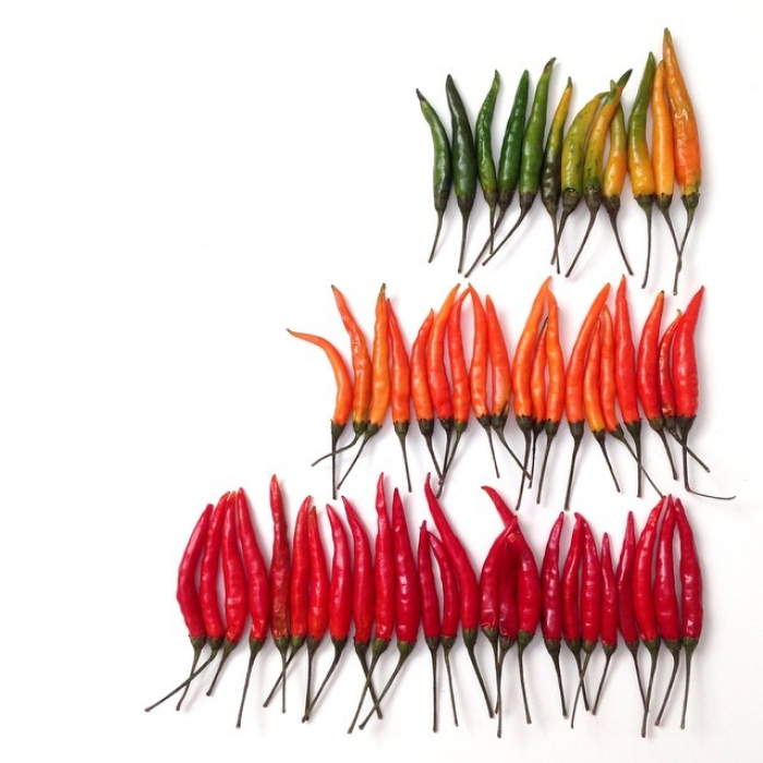 food-arrangement-photography-foodgradients-brittany-wright-21