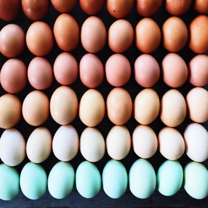food-arrangement-photography-foodgradients-brittany-wright-67